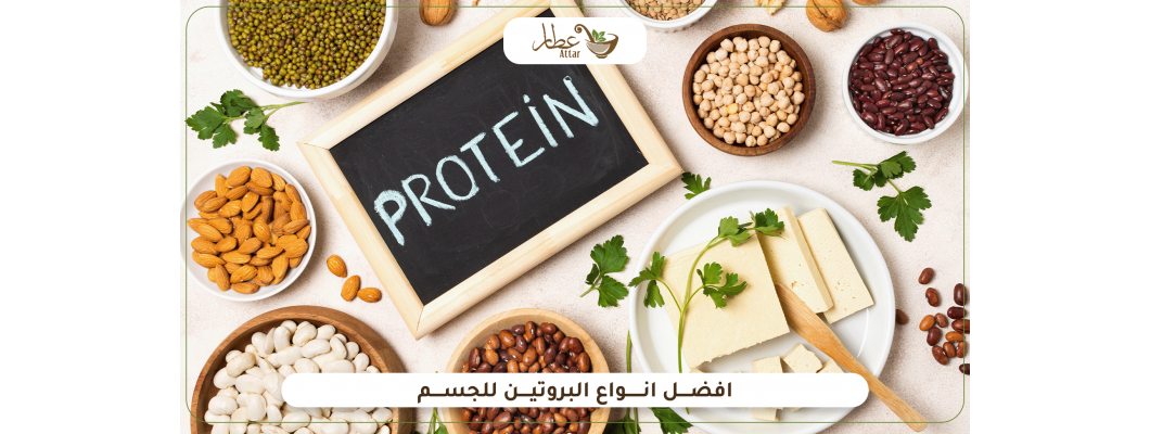 تعرف على افضل انواع البروتين للجسم