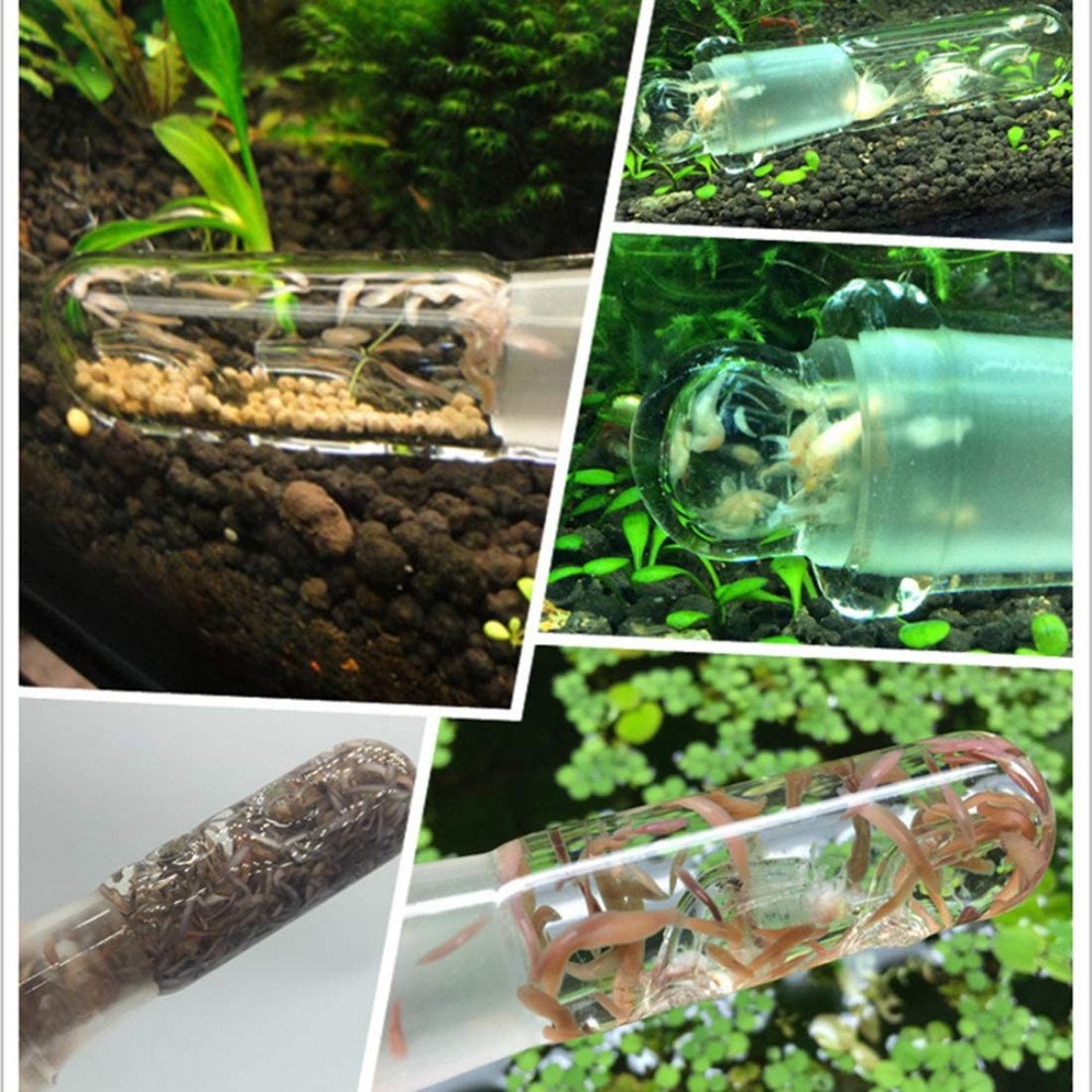 أداة الزجاجية لصيد الكائنات الدقيقة المزعجة داخل حوض الأسماك - Planarian Glass 