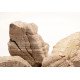 صخور الرمال المخططه - Sand Stone