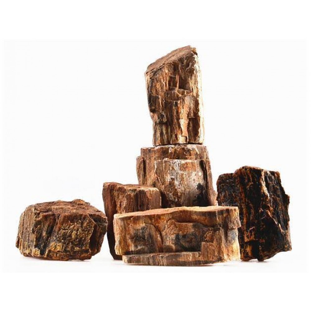 صخور الخشب المتحجر النادرة - Wood Fossil