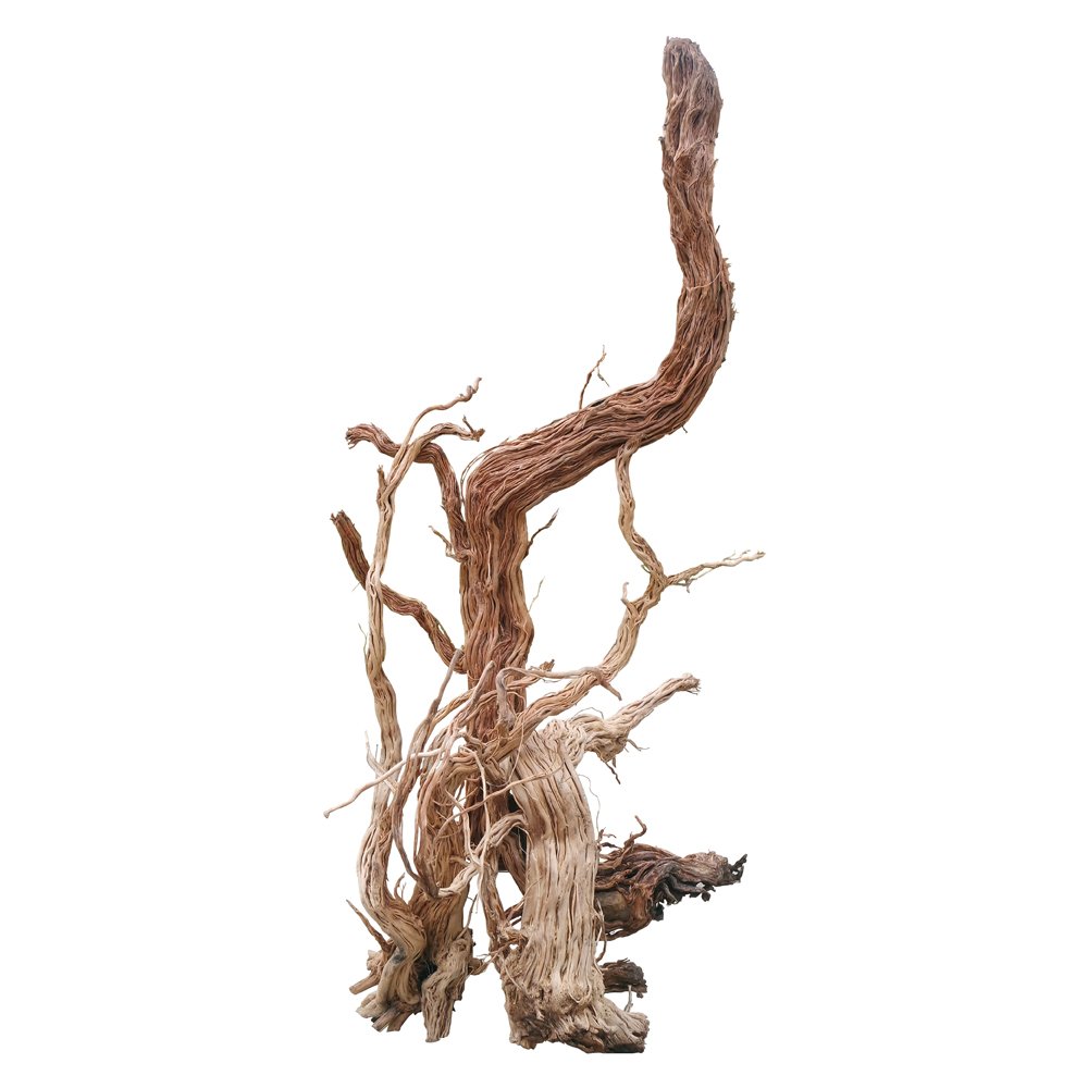 خشب من لنوع Azalea Wood حجم XXXL (معالج)