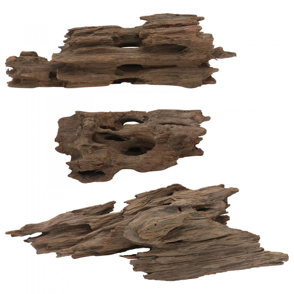 خشب مجوف مفرغ طبيعياً لربيان والأسماك الصغيرة والكبيرة - honeycomb-like Wood