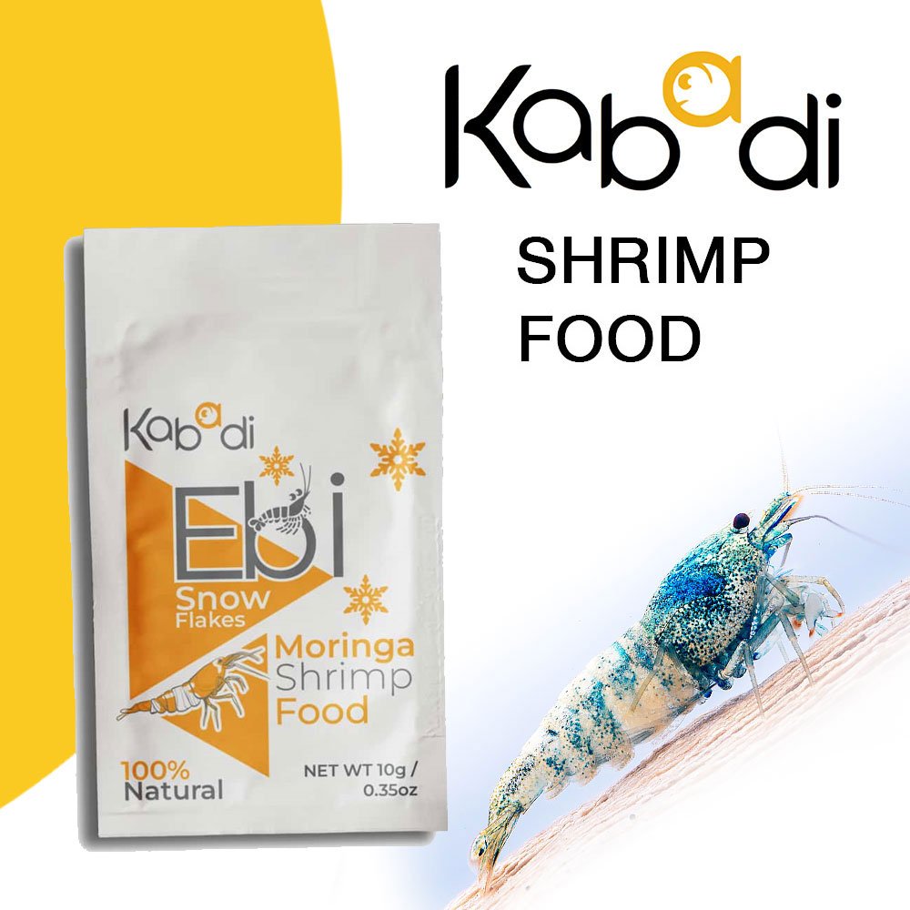 غذاء المورينجا والشمر خاص لربيان - kabadi shrimp food