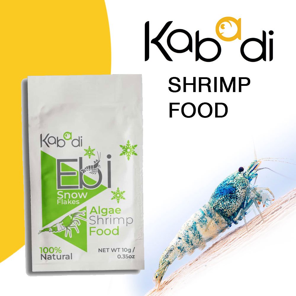 غذاء الطحالب وداعم لللون خاص لربيان - kabadi shrimp food