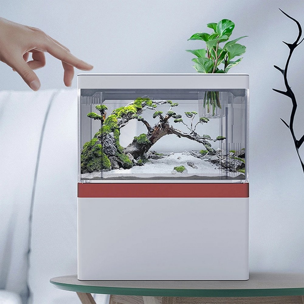 الحوض الكيوت كامل وسط مميز مع فلتر وإضاءة USB من شركة - Zaohetian aquarium size 2