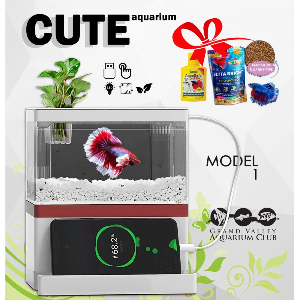 الحوض الكيوت كامل صغير مميز مع فلتر وإضاءة USB من شركة - Zaohetian aquarium size 1