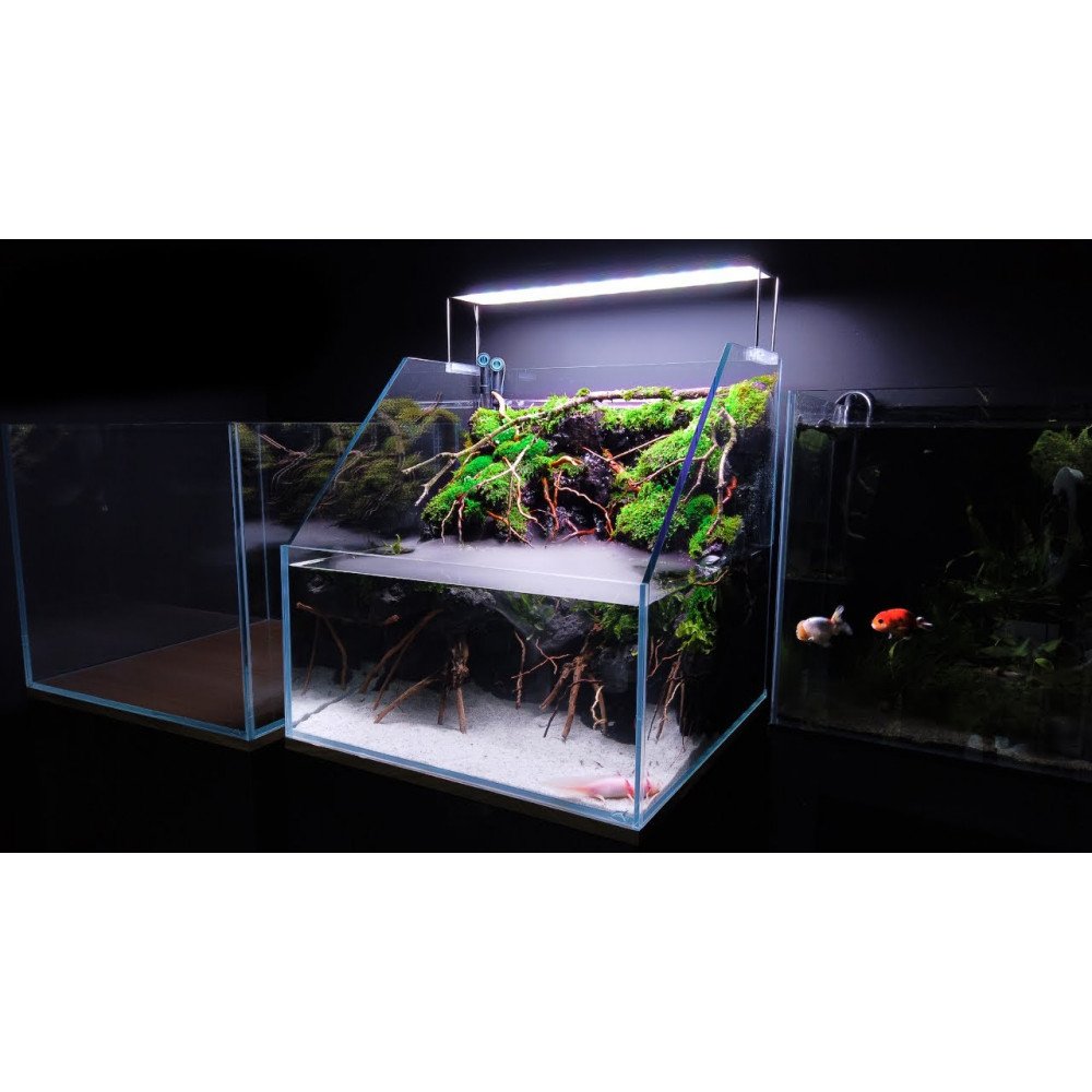 حوض زجاجي بولداريوم حجم 60x45x13 سم - PALUDARIUM Tank