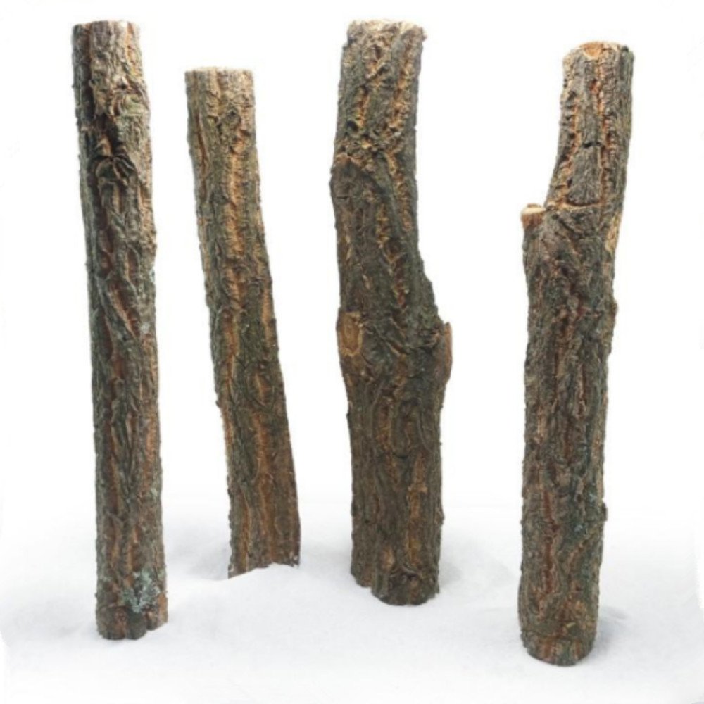أخشاب ساق طبيعية لتصميم حوضك ثلاثي الأبعاد - Straight Wood
