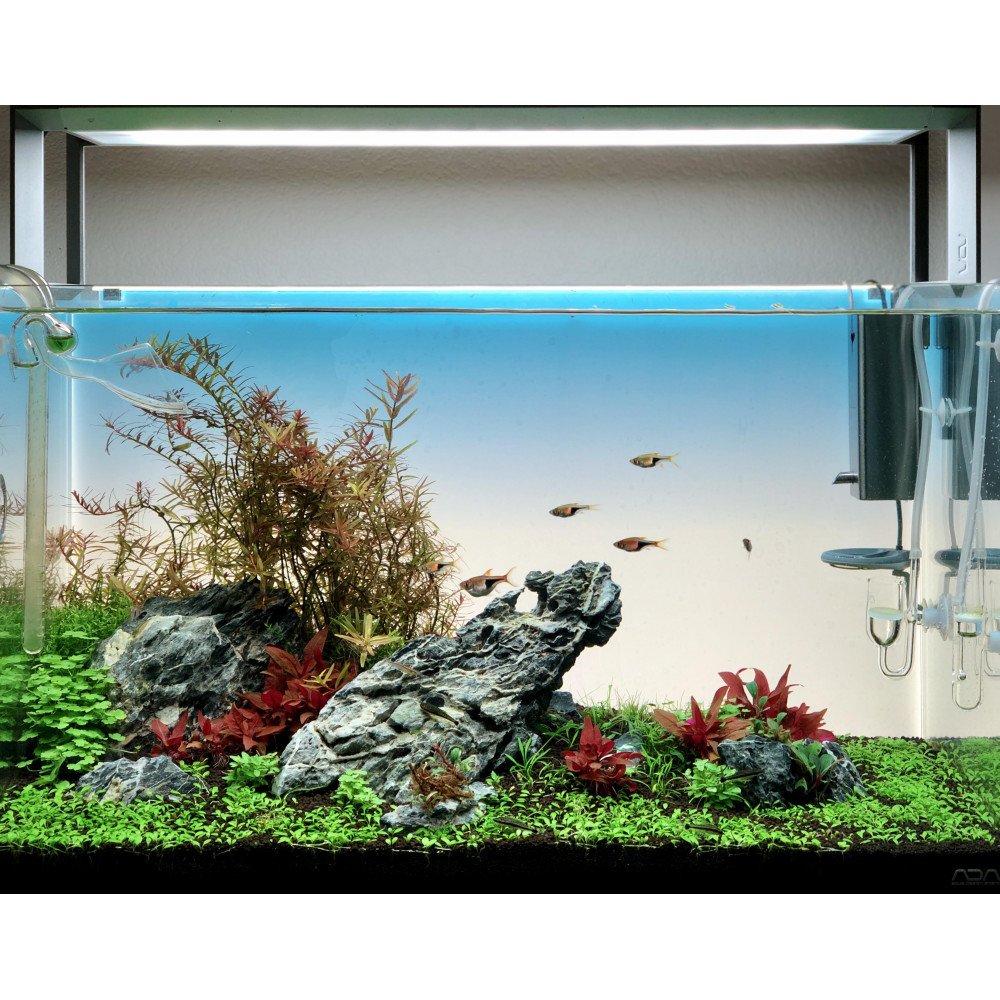 خلفية الشاشة المضيئة LED لحوض مقاس 120x50 سم - Aquarium Light Screen