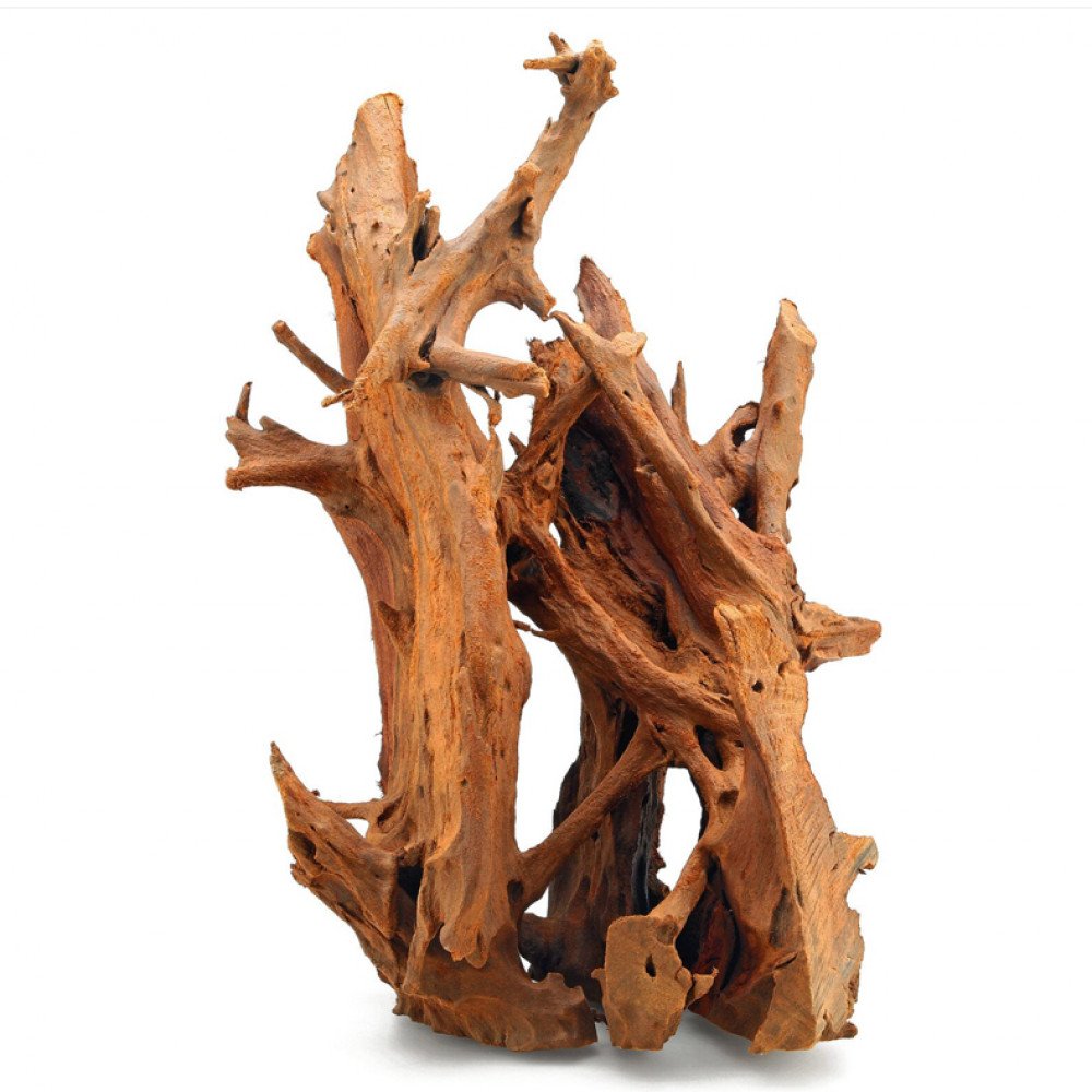 خشب المنجروف الصلب باللون الخشبي المحمر - Mangrove Driftwood
