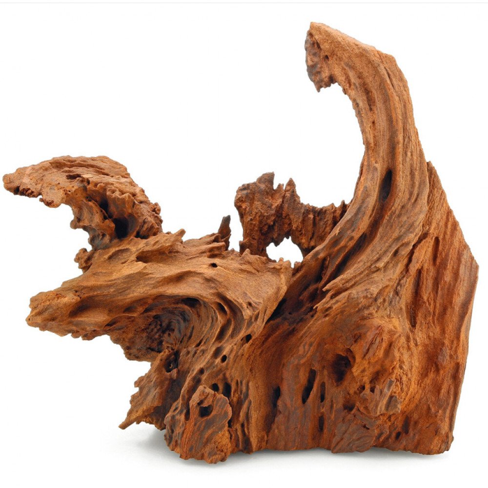 خشب المنجروف الصلب باللون الخشبي المحمر - Mangrove Driftwood