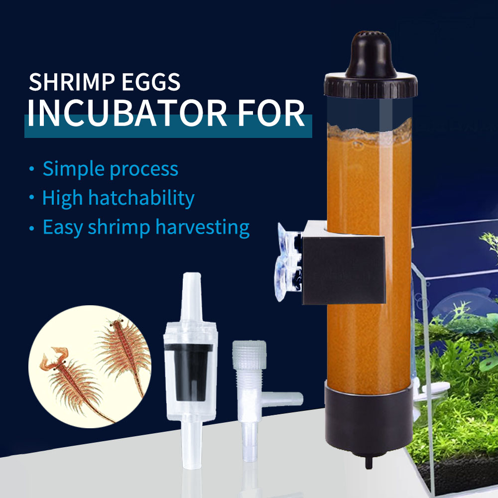 أداة تفريخ بيض الأرتيميا حجم كبير - Brine Shrimp incubator