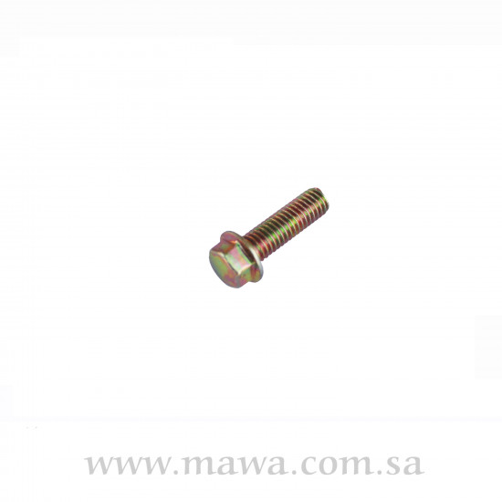 FLANGE BOLT 6×20