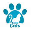 كيوت كاتس | Cute cats