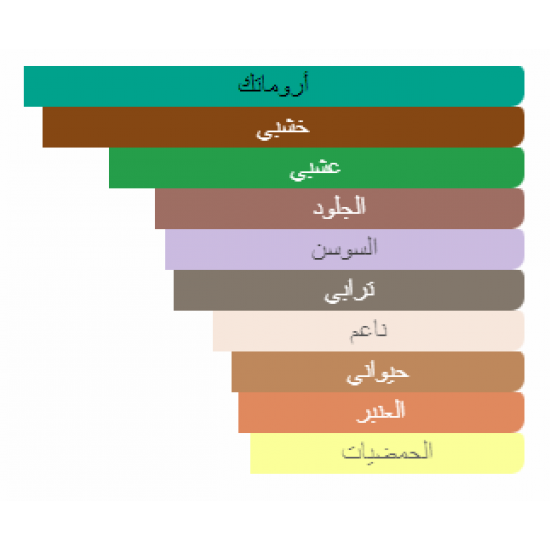 عطر ميمو ايرش ليذر او دو بارفيوم 75مل